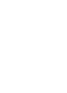 Hoja Amara Wasi